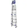 Werner 6 Tread Step Ladder