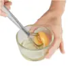 Apollo Stainless Steel Flat Magic Whisk