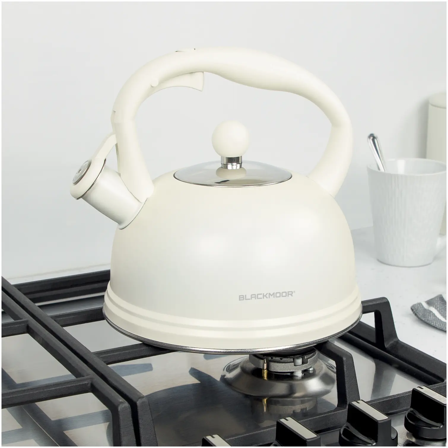 Blackmoor Whistling Kettle 2.5 Litre Capacity