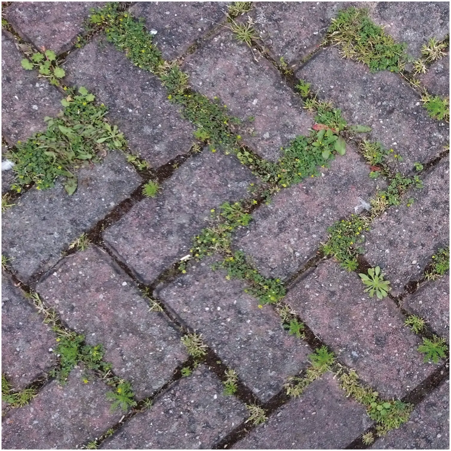 Block Blitz Block Paving Cleaner Pack of 2