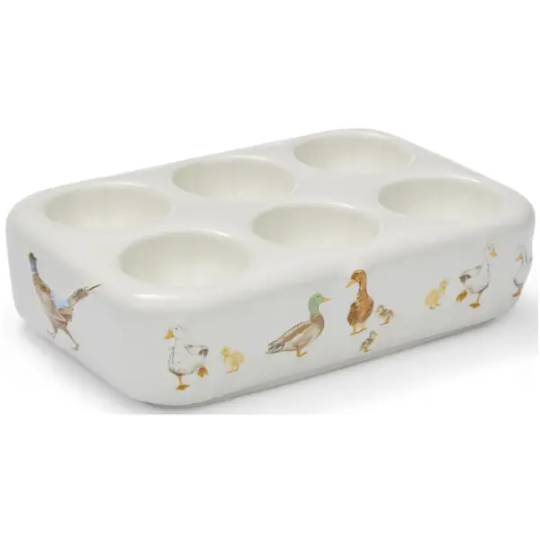 Cooksmart Buttercup Farm Egg Storage