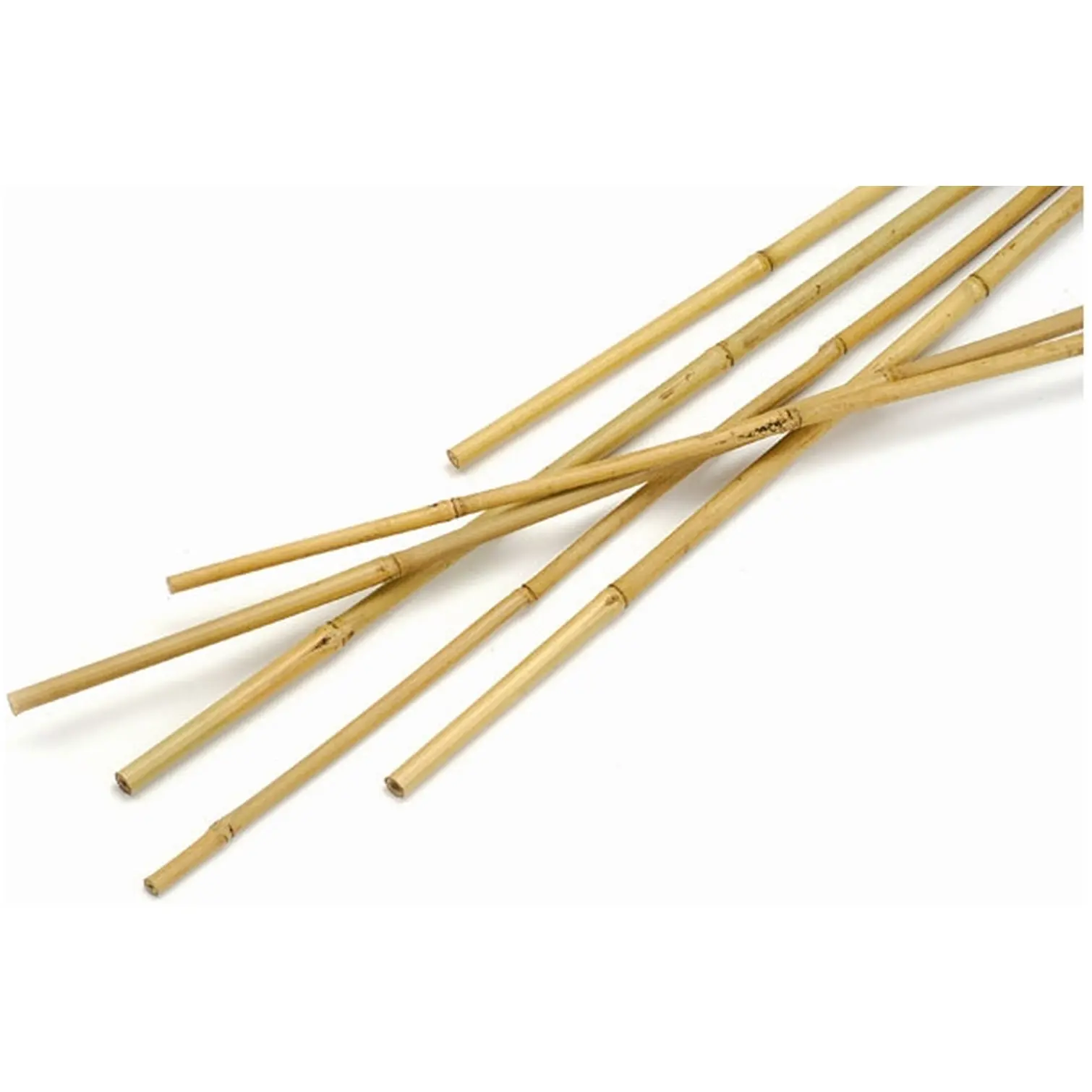 Clapro 4' Bamboo Canes 24/26