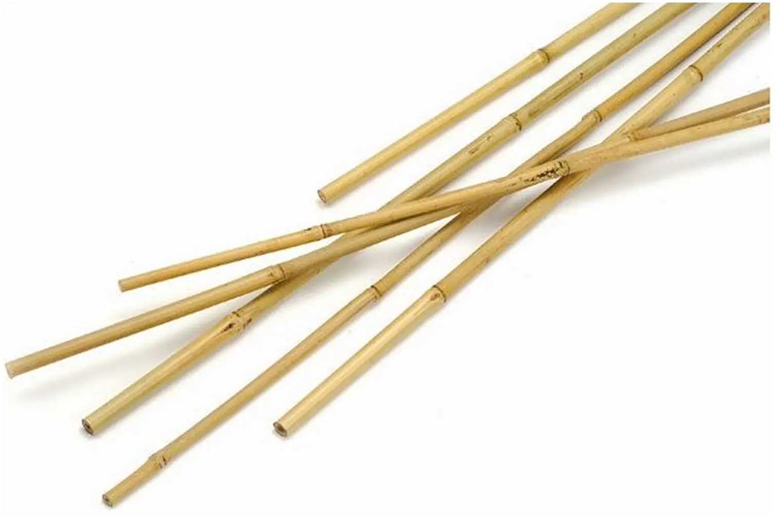 Clapro Bamboo Canes 1.8m(6ft)