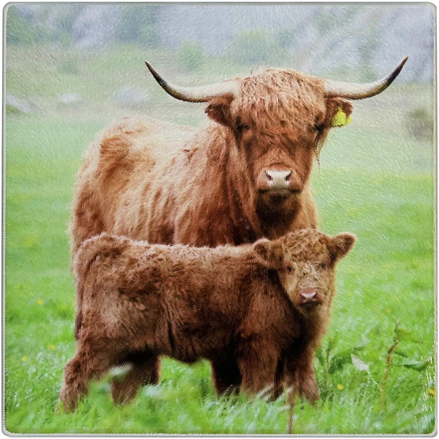 D&C Highland Family Glass Chopping Board Scottish design