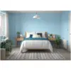 Dulux Matt First Dawn 2.5L