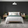 Dulux Matt Rich Black 2.5L