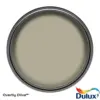 Dulux Matt Overtly Olive 2.5L