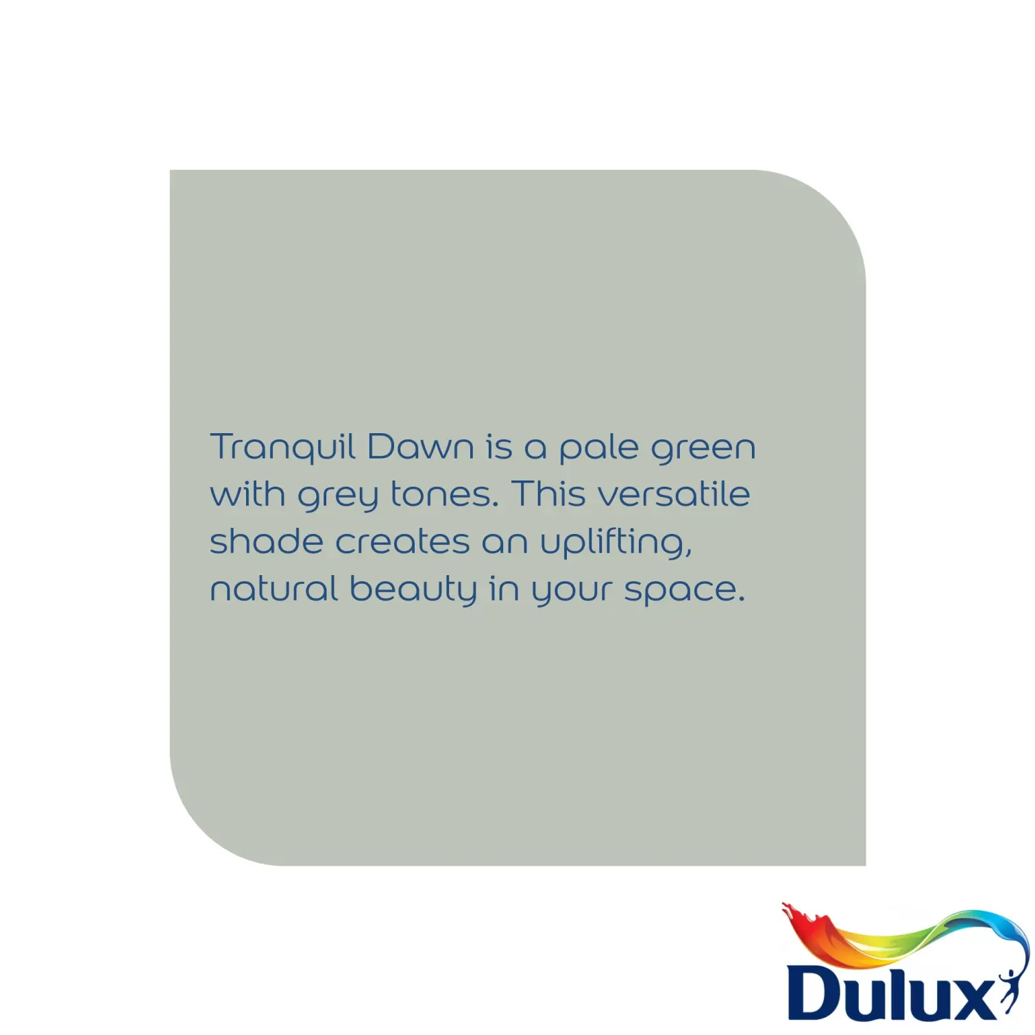 Dulux Matt Tranquil Dawn  2.5L
