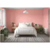 Dulux 2.5Ltr Matt Boho Blush