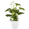 Brussels White Houseplant Pot 14cm