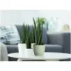 Elho Brussels Houseplant Pot18cm Sorbet