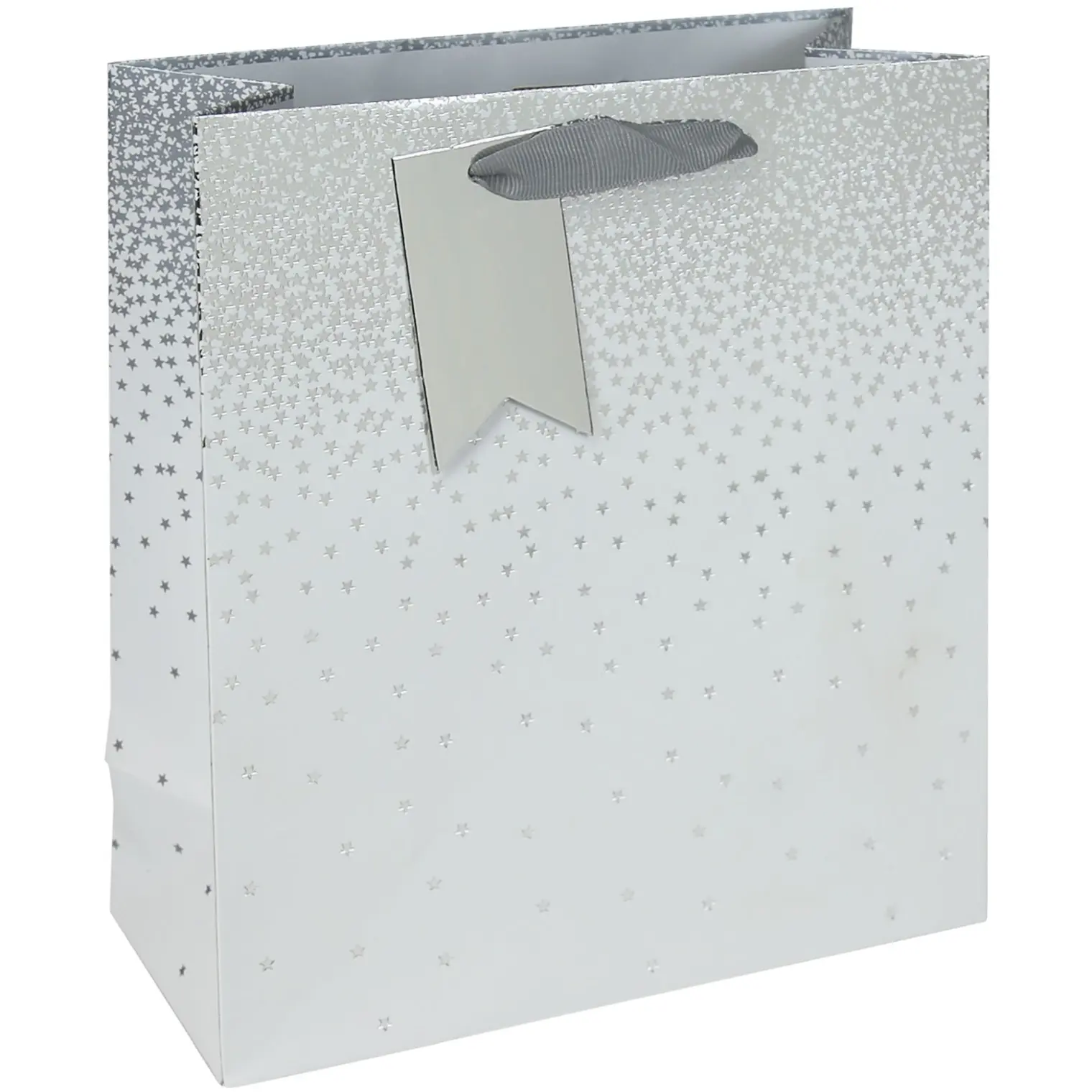 Eurowrap White Ombre Medium Gift Bag
