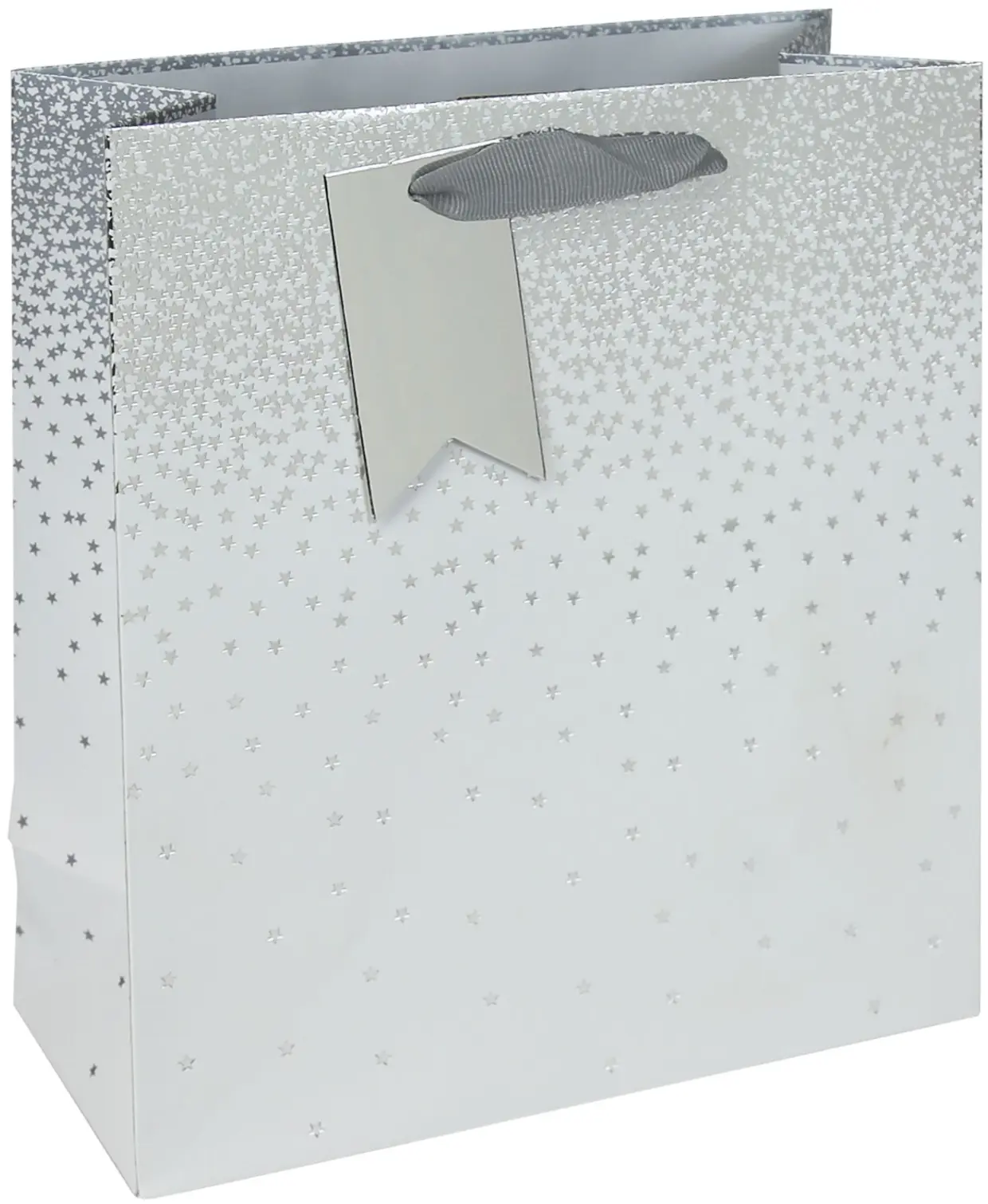 Eurowrap White Ombre Medium Gift Bag