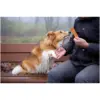 Rosewood Dog Large Chicken Fillet Strips