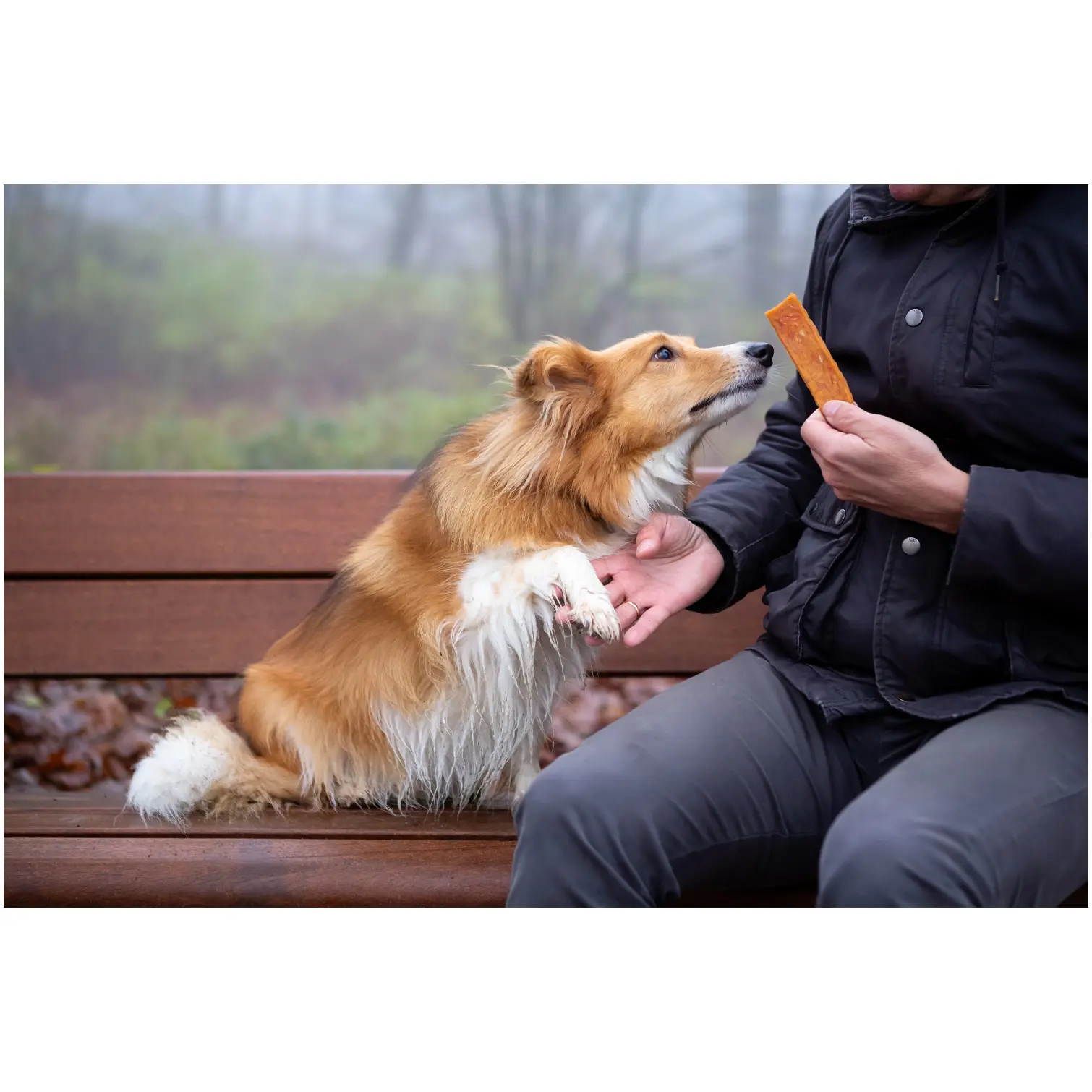 Rosewood Dog Large Chicken Fillet Strips