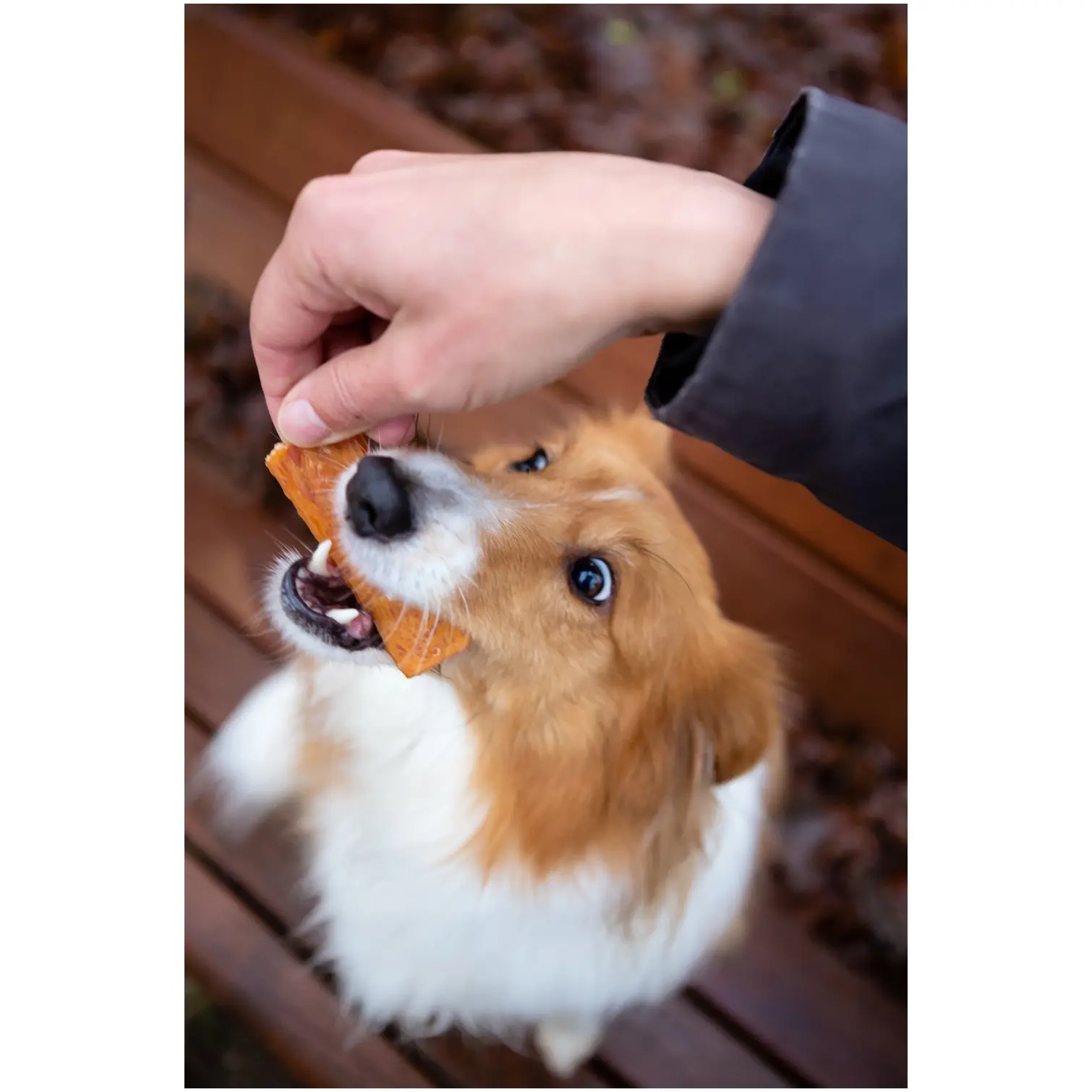 Rosewood Dog Large Chicken Fillet Strips