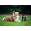 Rosewood Dog Large Salmon Fillet Strips