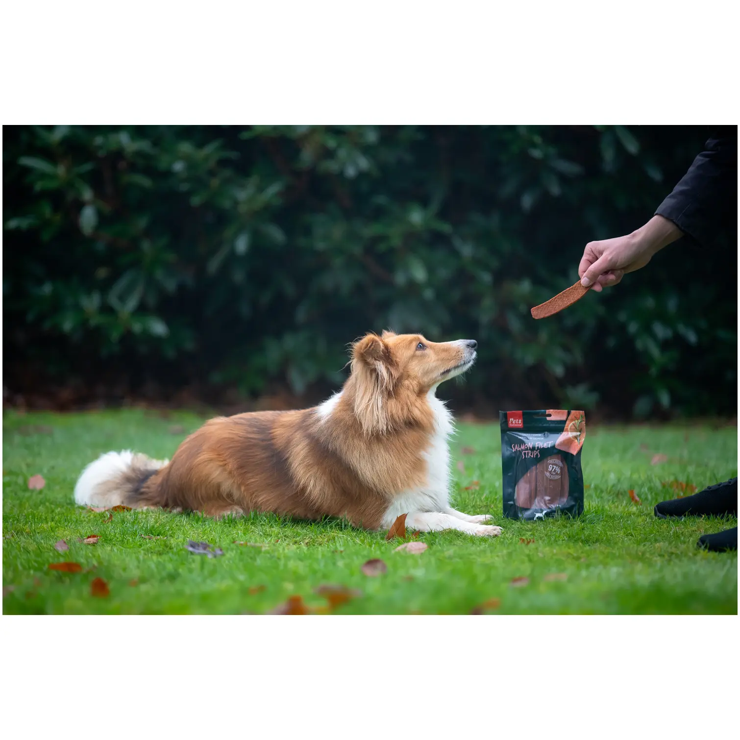 Rosewood Dog Large Salmon Fillet Strips