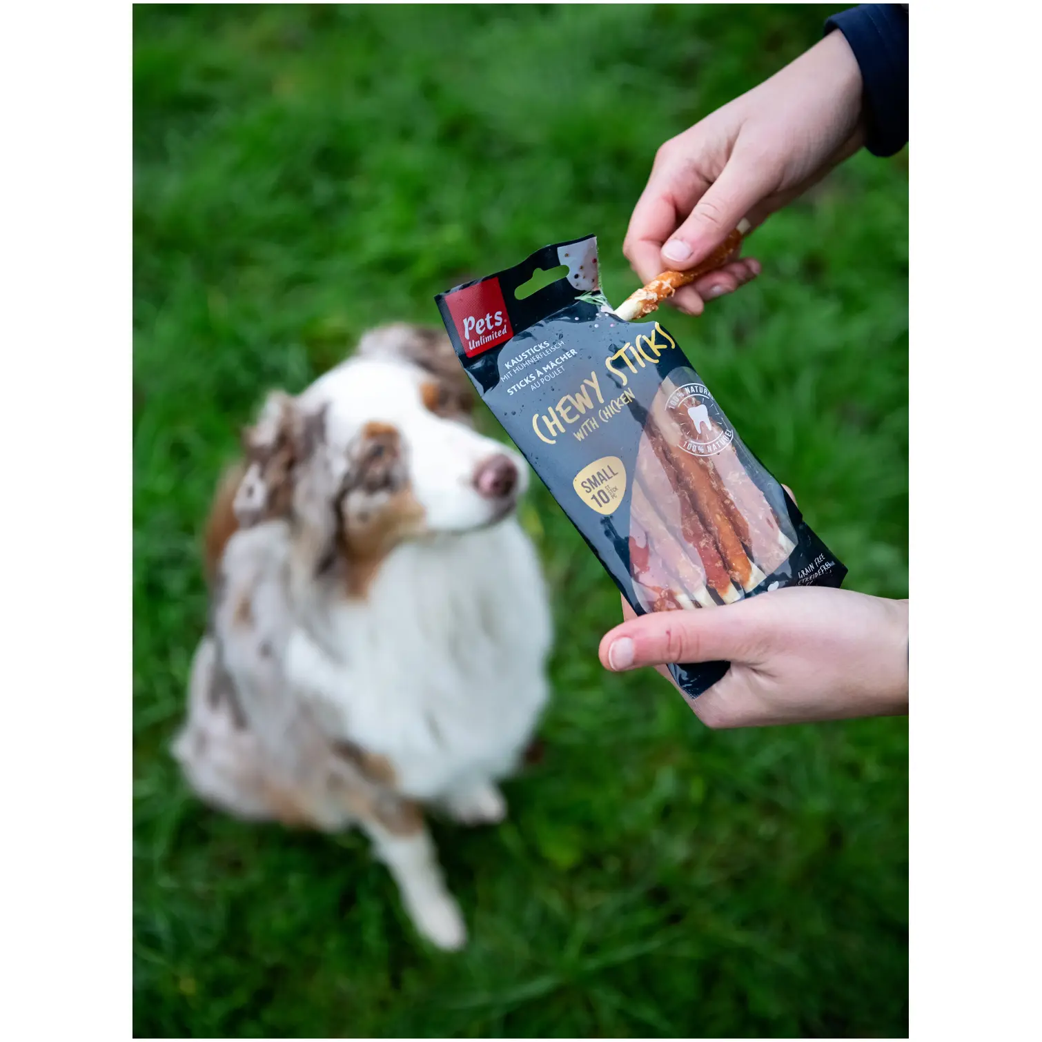 Rosewood Dog Small Chewy Sticks Chicken