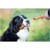 Rosewood Dog Large Trio Sticks Chicken
