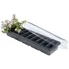 Windowsill Propagator