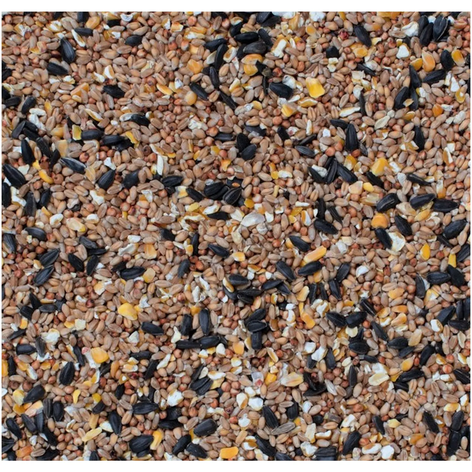 Henry Bell Wild Bird Food Superior Seed Mix 1kg