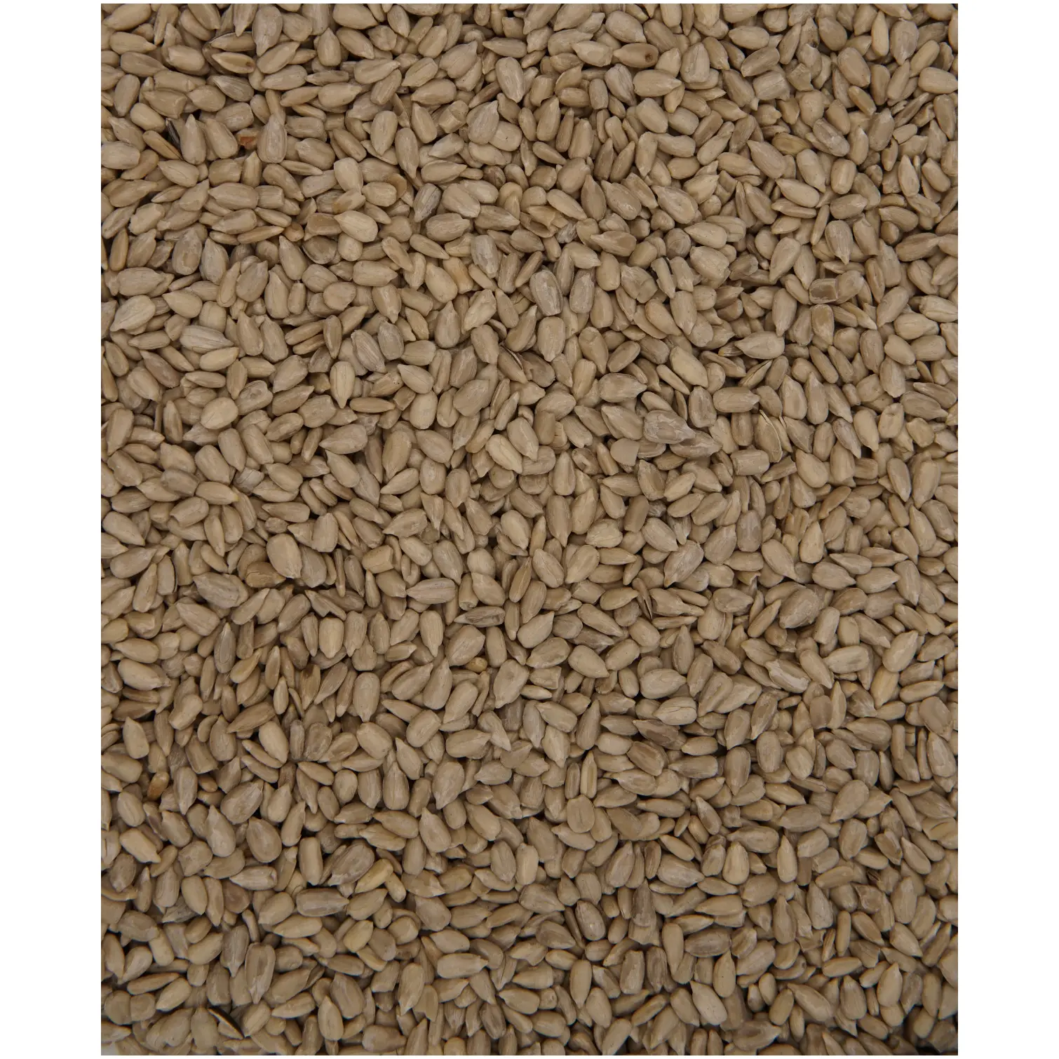 Henry Bell Wild Bird Food Sunflower Hearts 1kg