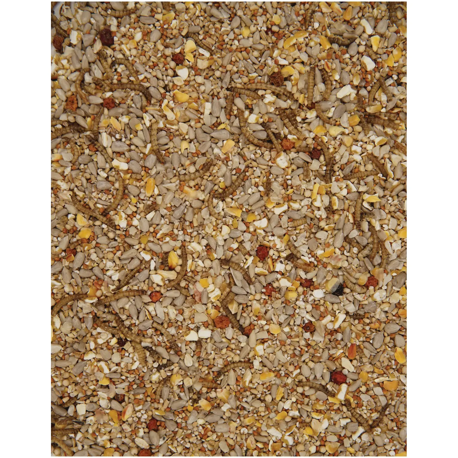 Henry Bell Wild Bird Food Robin Blend 1.8kg