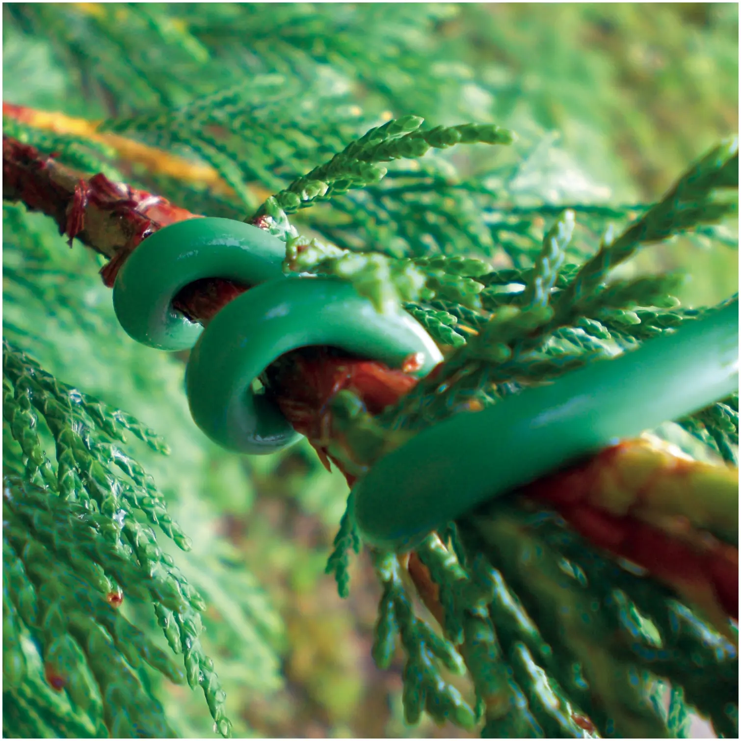 Kingfisher Spongy Plant Tie 4.8mtr