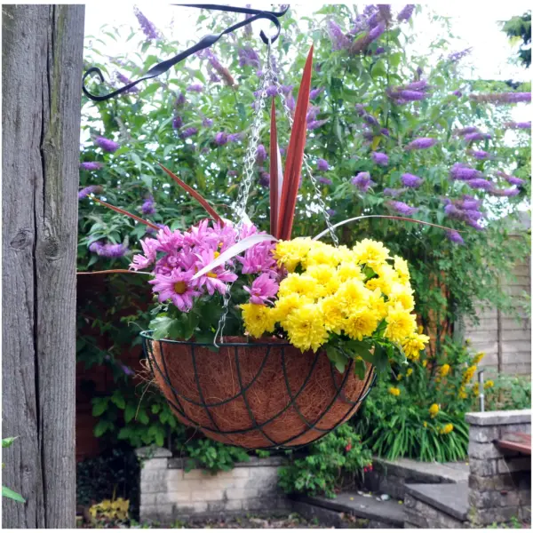 Kingfisher 35cm Hanging Basket Green