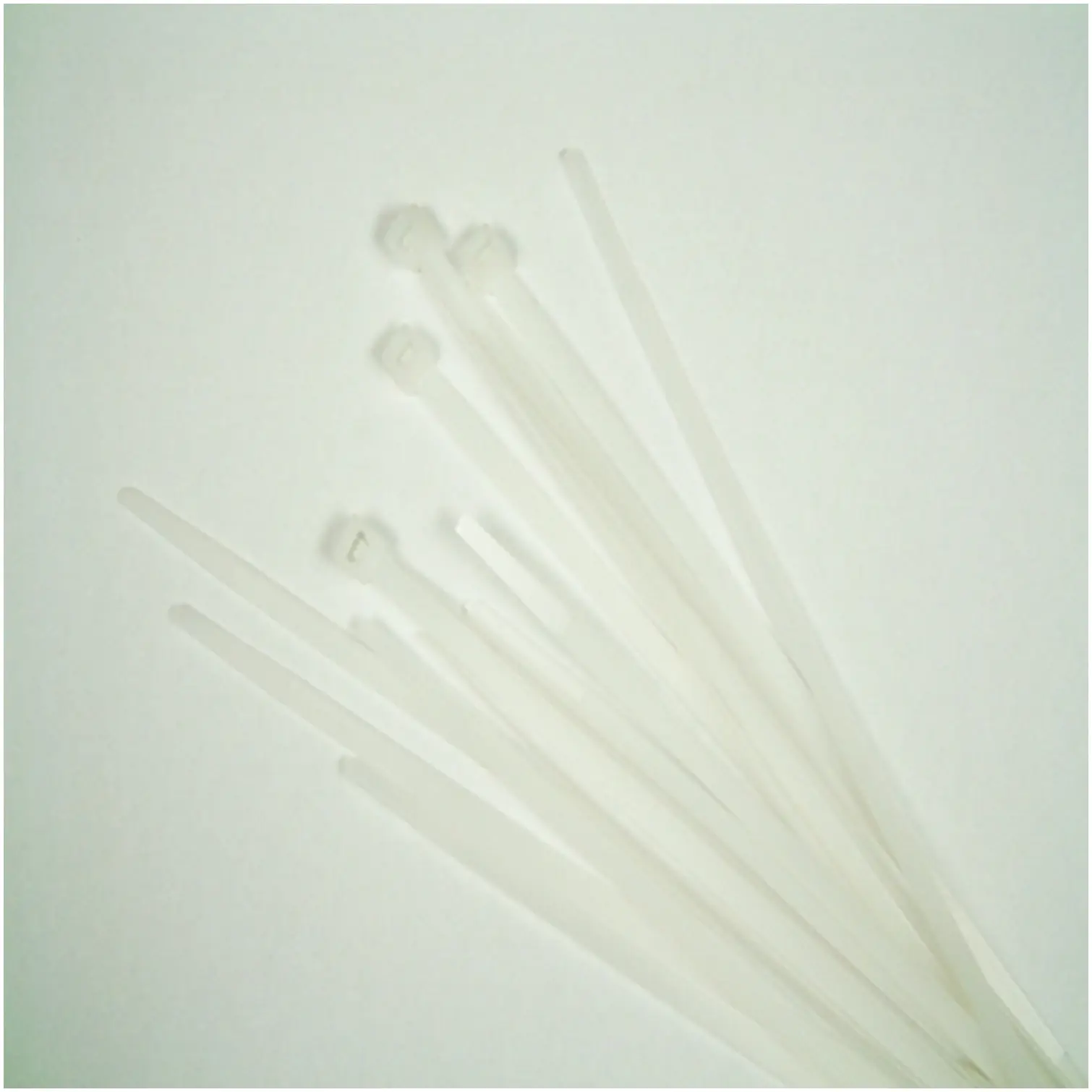 Lyvia 200x4.8mm Cable Tie (20)