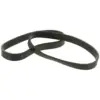 PaXanpaX Belt for Vax