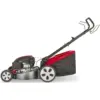 Mountfield Petrol Rotary Self Propelled 51cm