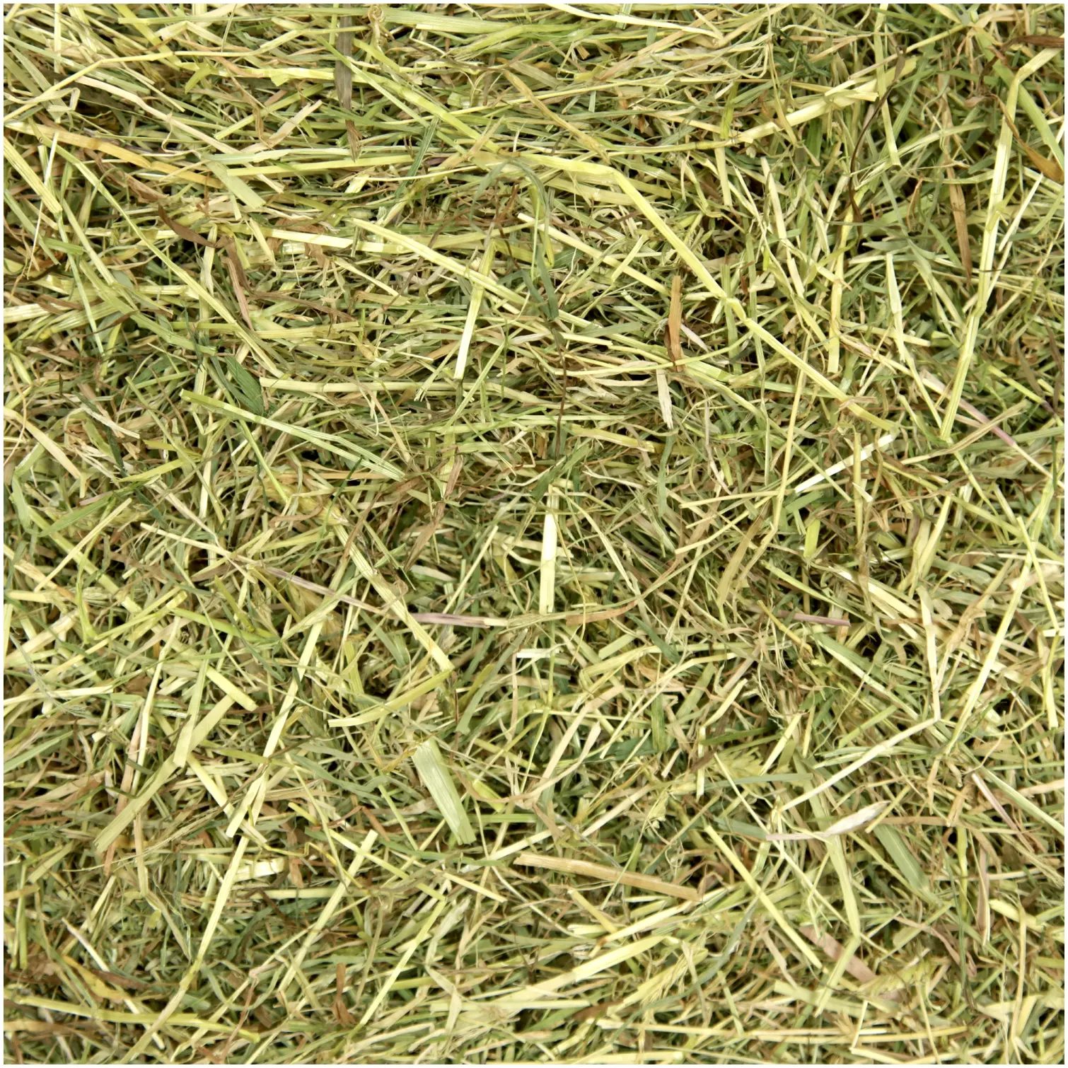 Nature's Own 5 a Day Timothy Hay