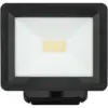 Essence 10w LED Floodlight