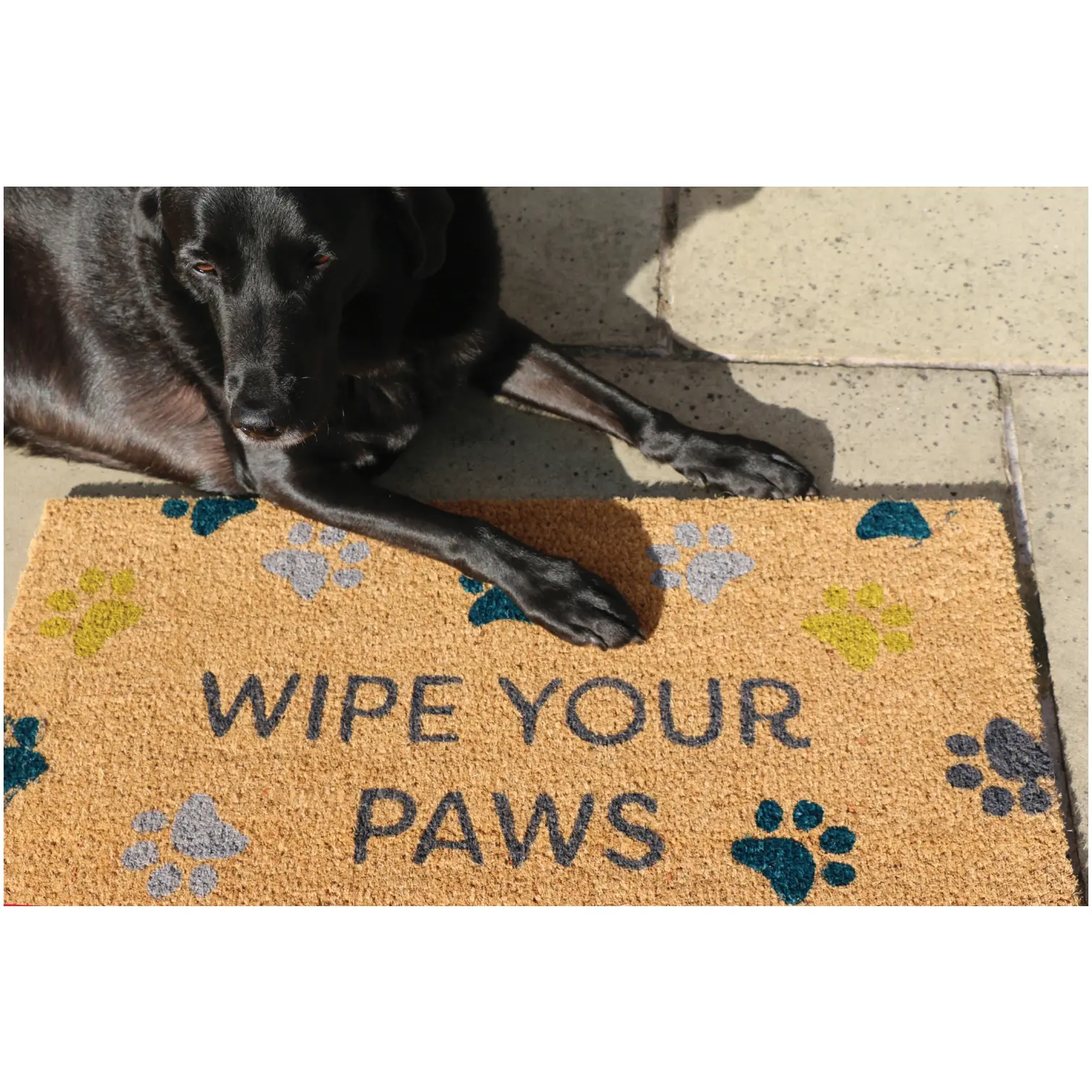 PEX0096_1 My Mat Coir Wipe Your Paws 45 x 75cm
