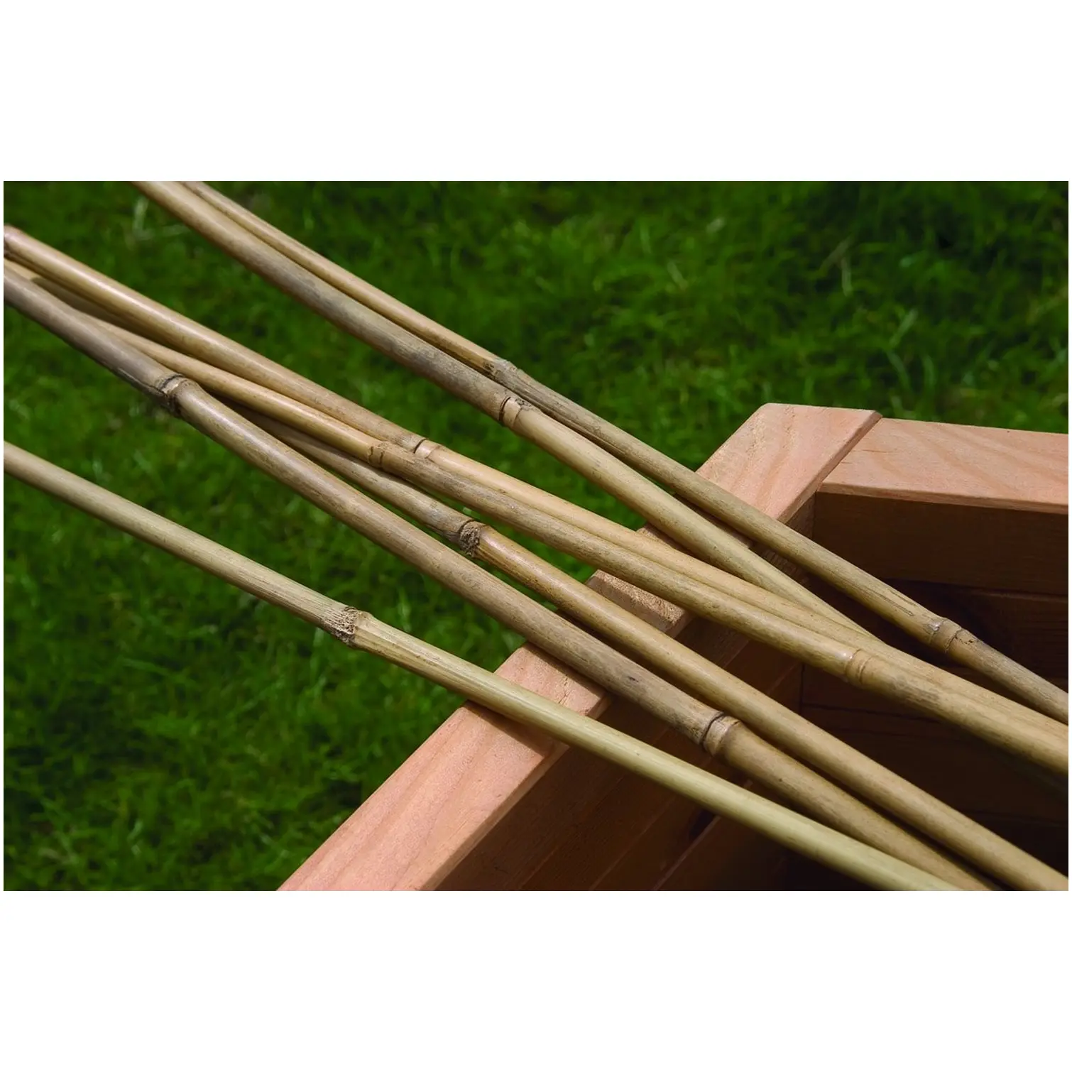 Bamboo Canes 2.1m Pack of 10