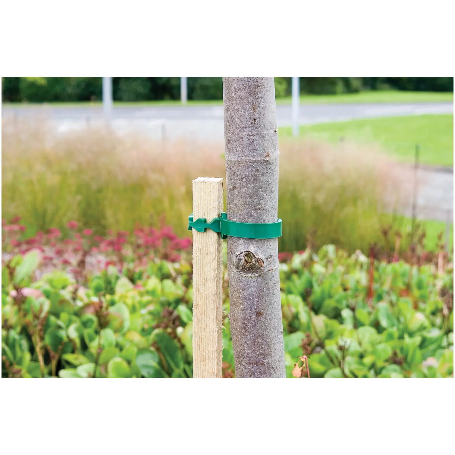 The Good Life 1.8m x 30mm Tree Stake