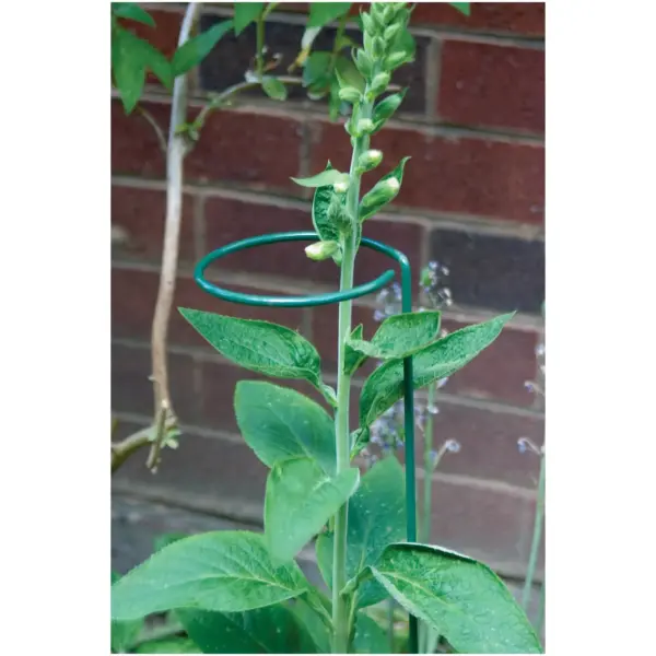 RAP7056 Treadstone 75cm Stem Support