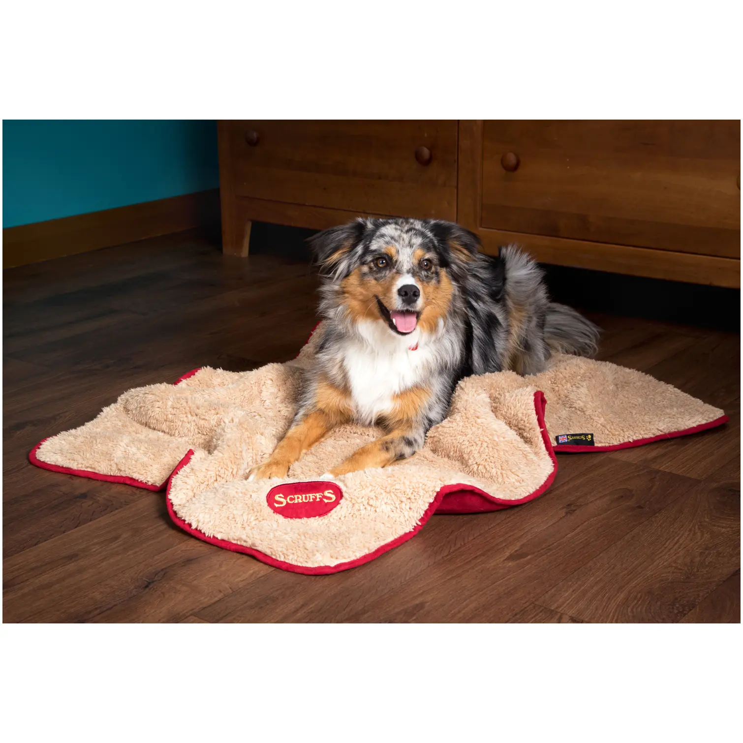 Snuggle Pet Blanket