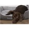 Scruffs Grey Cosy Dog Bed 90x70cm