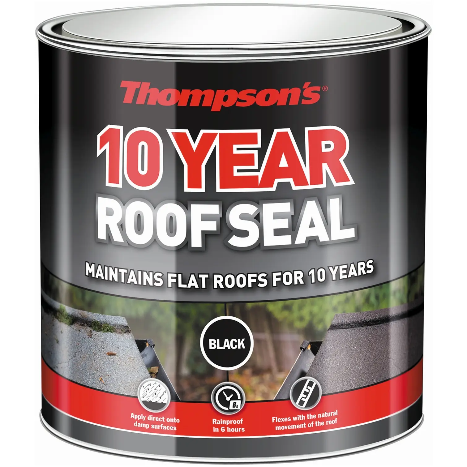 Thompson's 10 Year Roof Seal Black 4 Litre