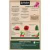 Levington Growmore Multi Purpose Plant Food 3.5kg