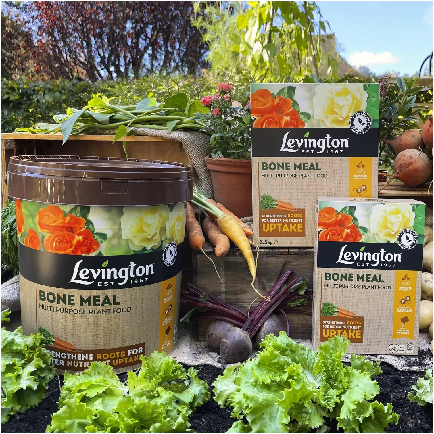Levington Bone Meal 3.5kg