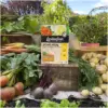 Levington Bone Meal 3.5kg
