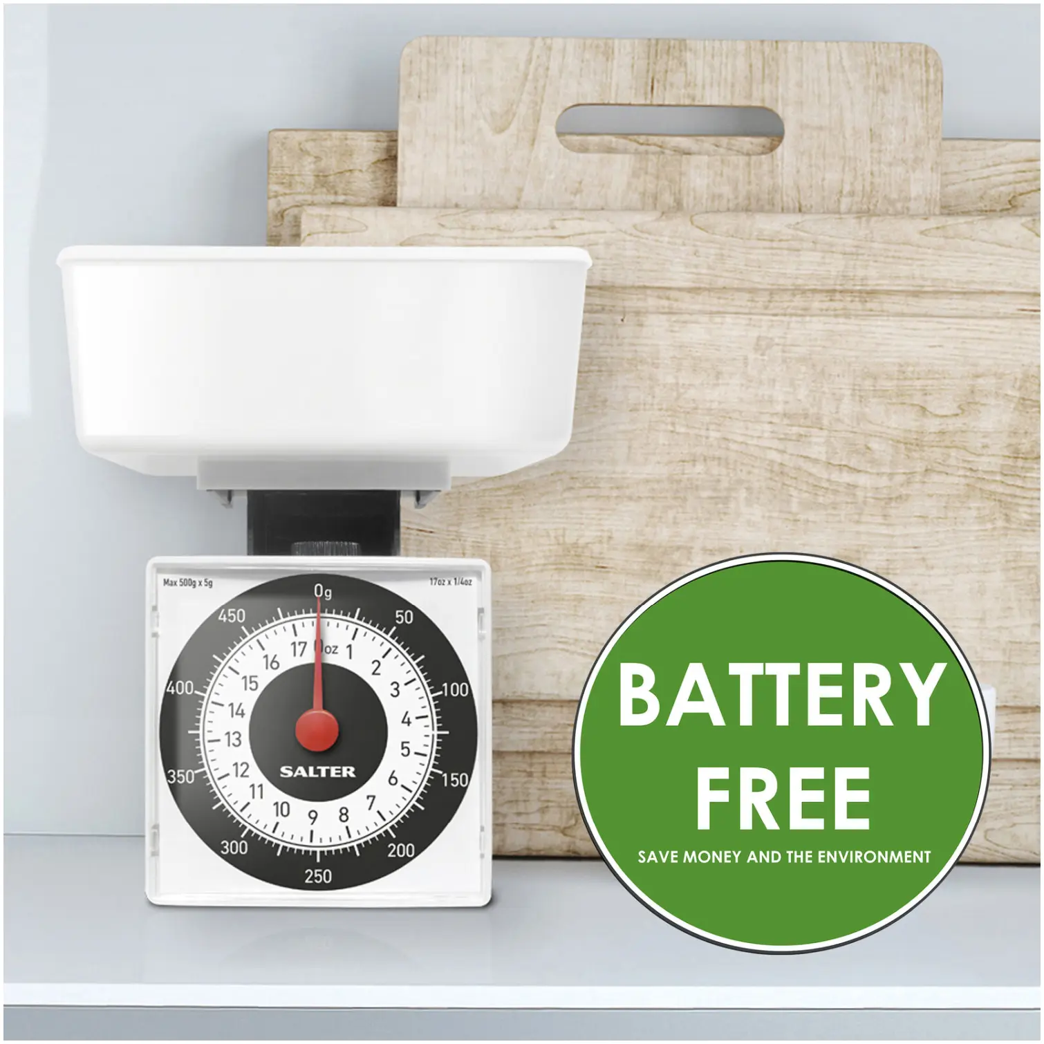 Salter Dietary Kitchen Scale 500g
