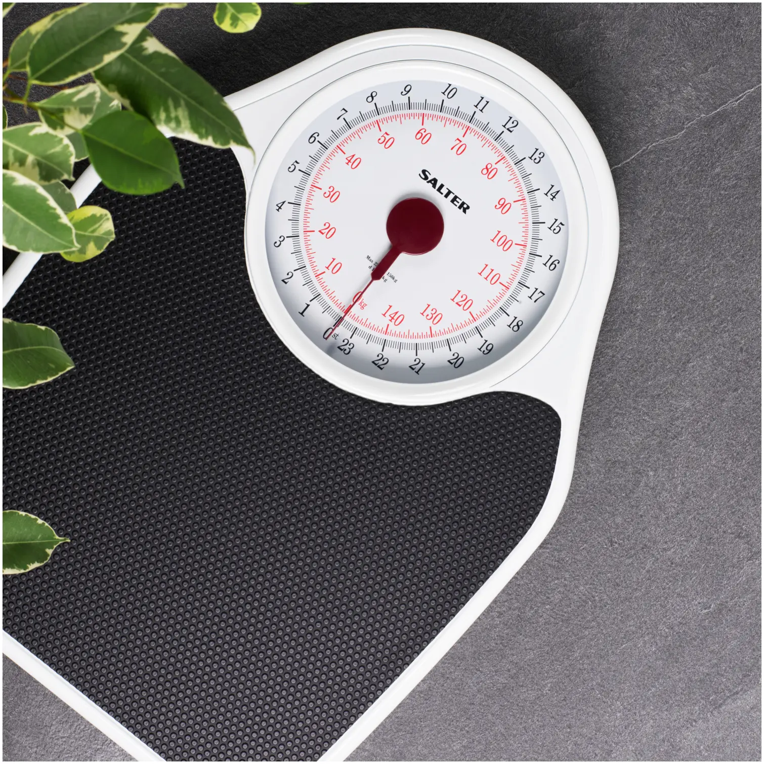 Salter Doctors Style bathroom Scale