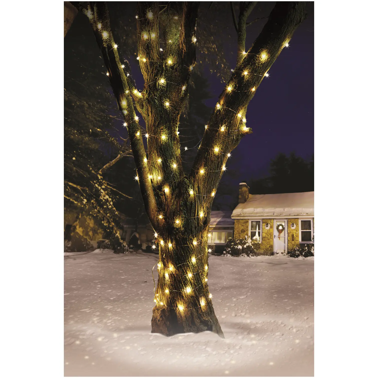 SMA0052_1 Smart Garden 50 String Light