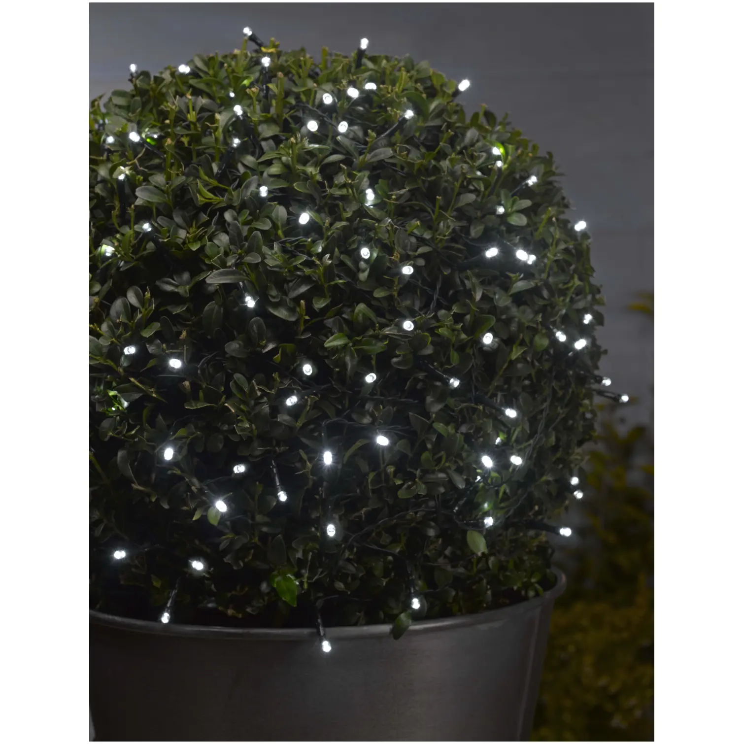 Smart Garden 200 String Light