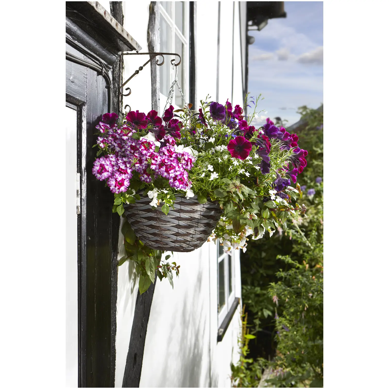 Smart Garden Hanging Basket Rattan Pinto 14"